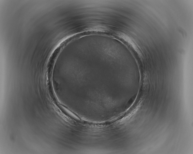X0000112010923200908031304