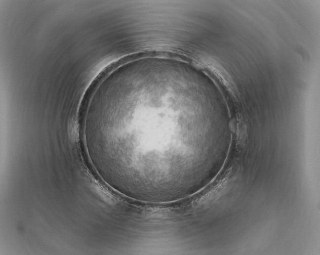 X0000112010924200908031304