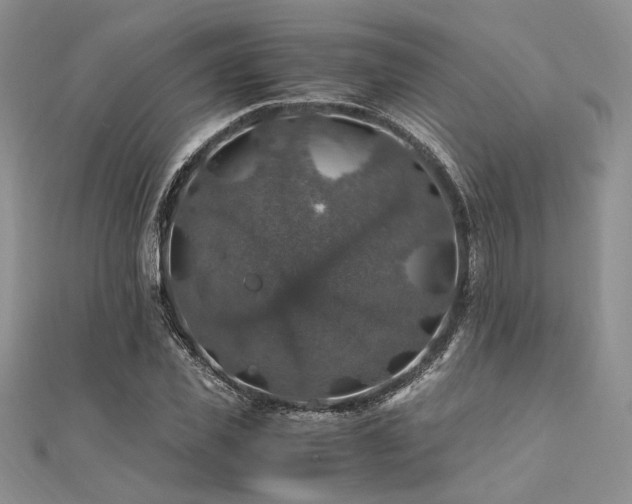 X0000112010925200908031304