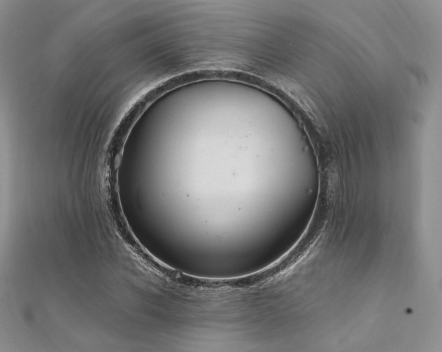 X0000112010926200908031304