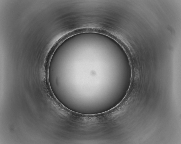 X0000112010927200908031304
