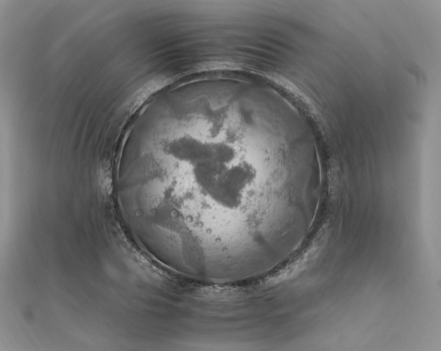 X0000112010929200908031304