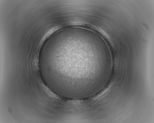 X0000112010930200908031304