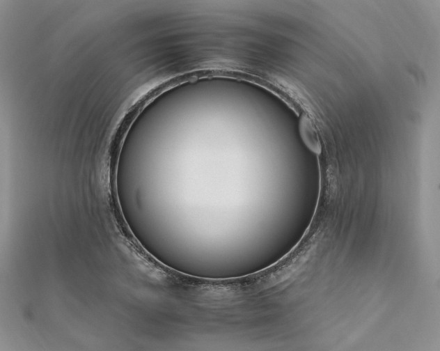 X0000112010931200908031304