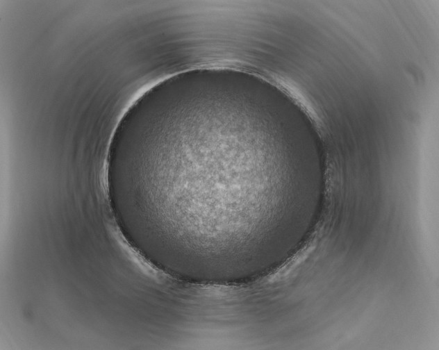 X0000112010932200908031304