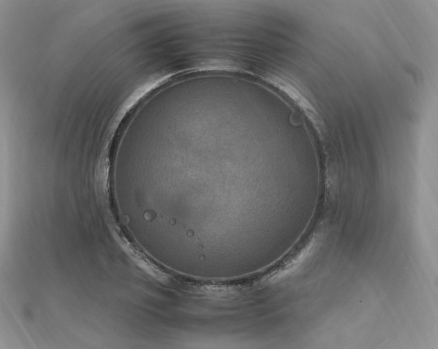 X0000112010933200908031304