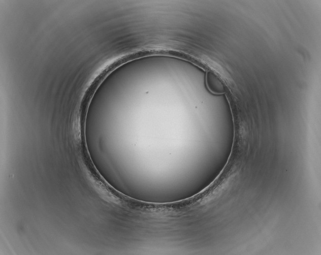 X0000112010934200908031304