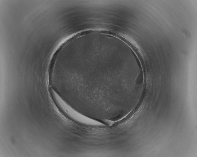 X0000112010935200908031304
