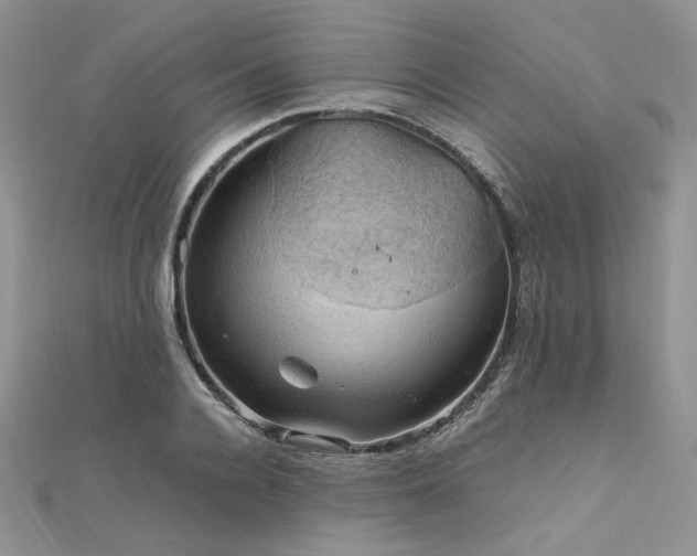 X0000112010936200908031304