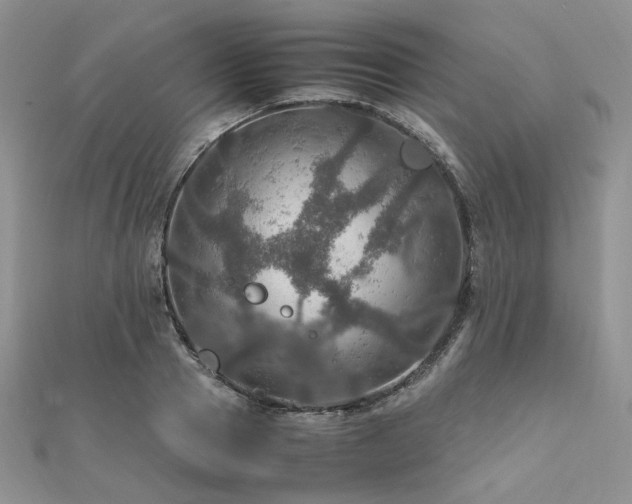 X0000112010937200908031304
