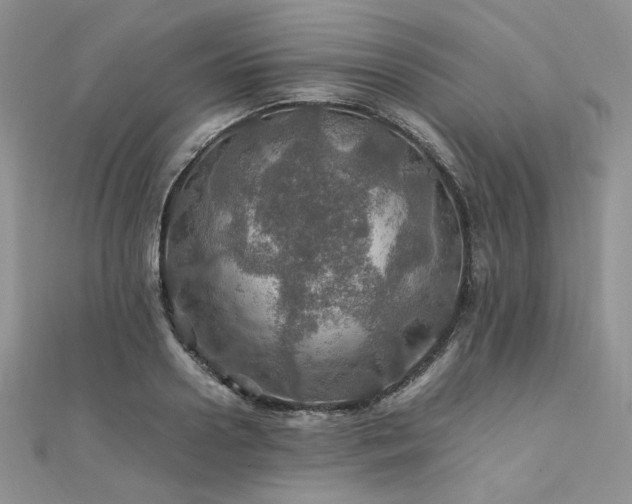 X0000112010938200908031304