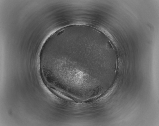 X0000112010939200908031304
