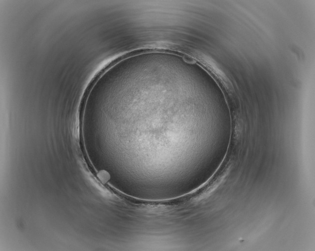 X0000112010940200908031304