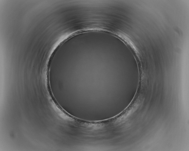 X0000112010941200908031304