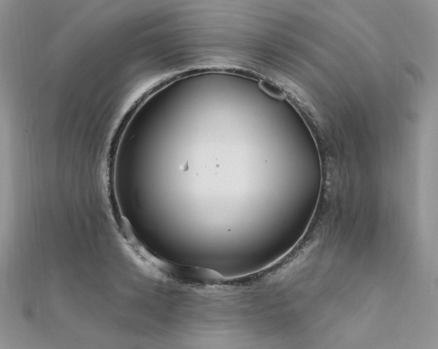 X0000112010942200908031304