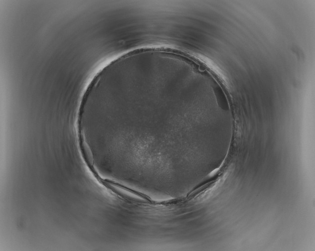 X0000112010943200908031304