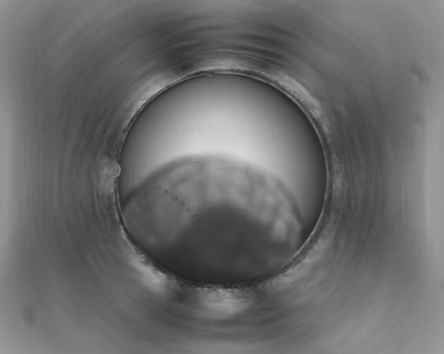 X0000112010945200908031304