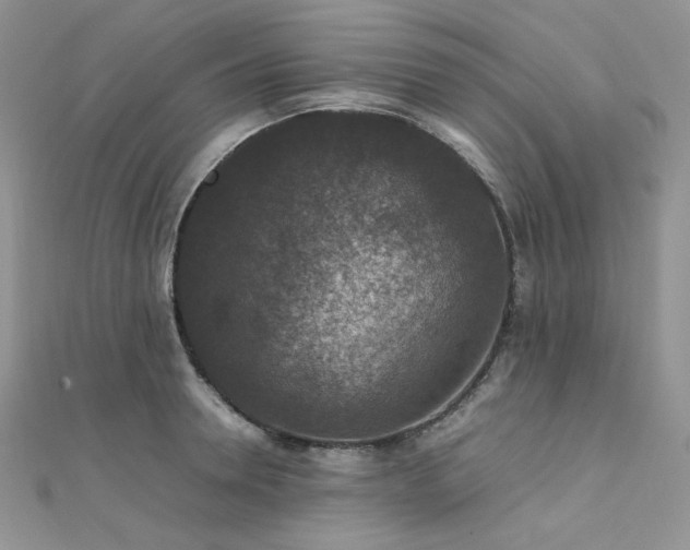 X0000112010946200908031304
