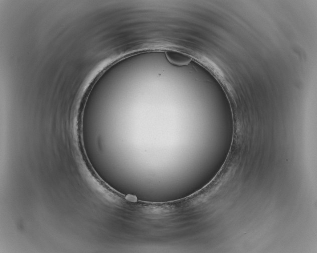 X0000112010947200908031304