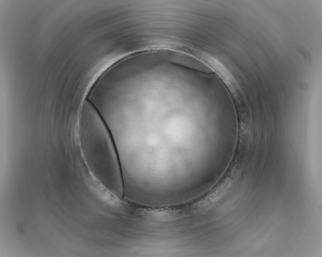 X0000112010948200908031304