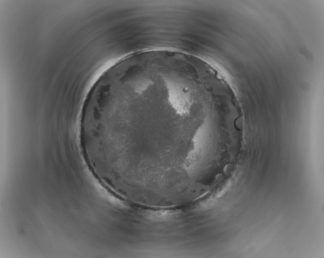 X0000112010949200908031304
