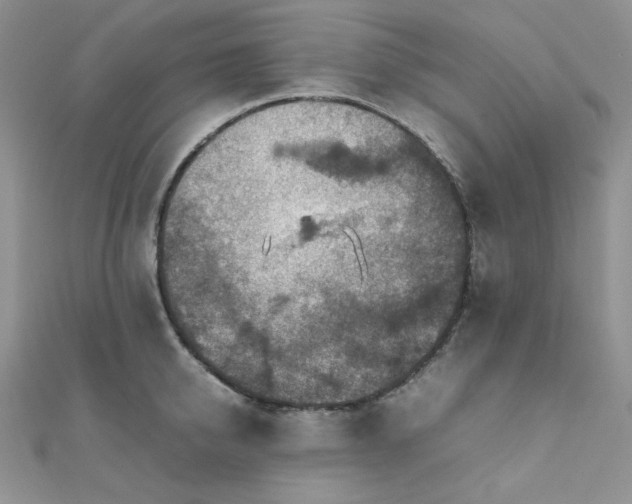 X0000112010950200908031304