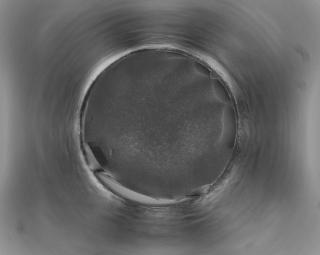X0000112010951200908031304