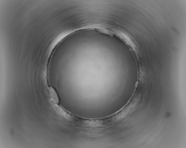 X0000112010952200908031304