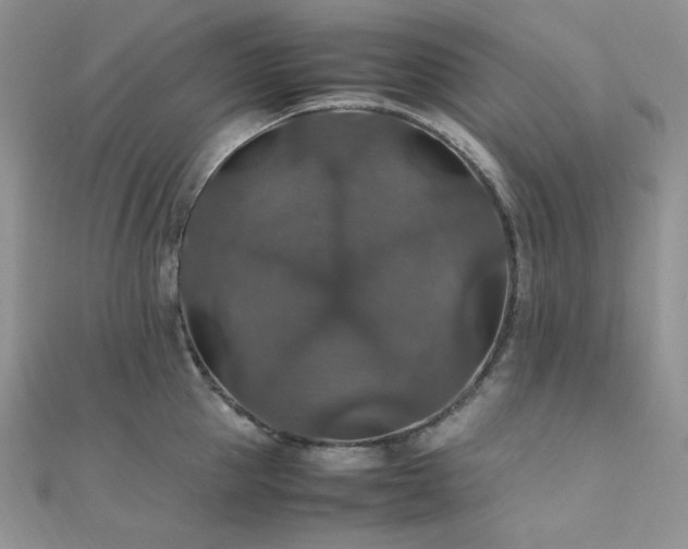 X0000112010953200908031304