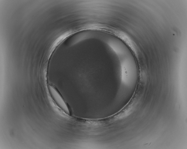 X0000112010954200908031304