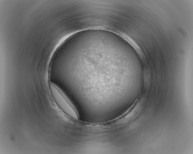 X0000112010956200908031304