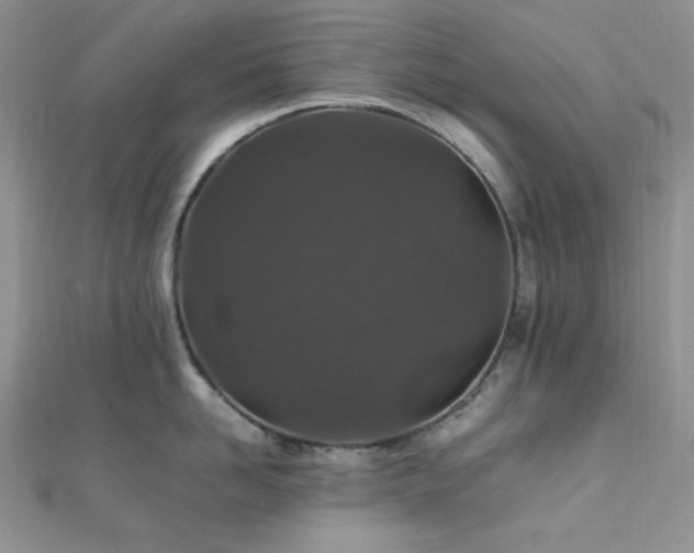 X0000112010958200908031304