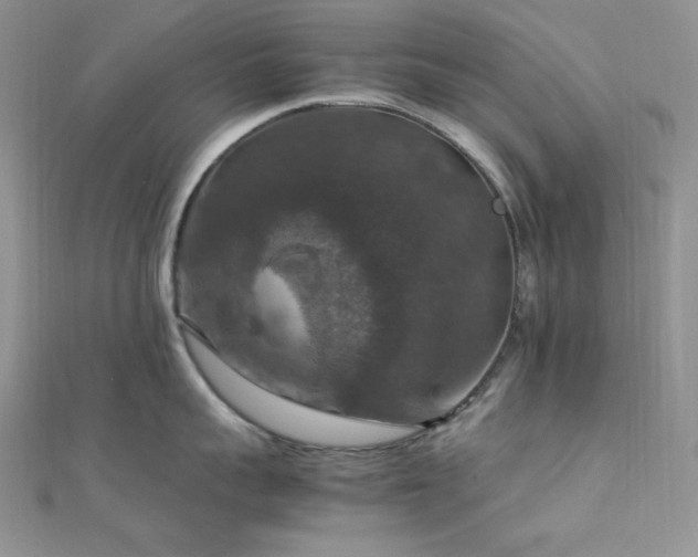 X0000112010959200908031304
