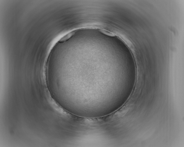 X0000112010960200908031304