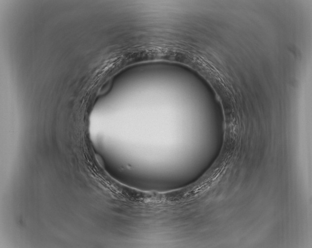 X0000112010961200908031304