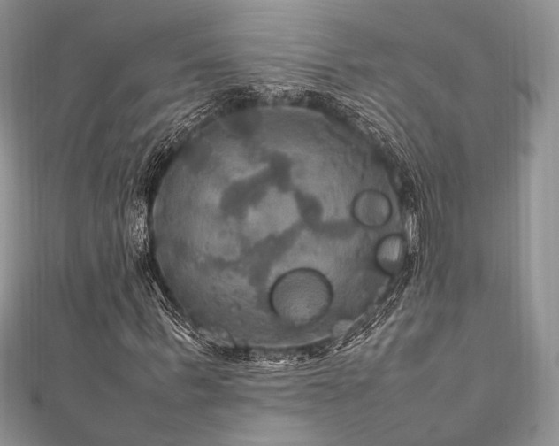 X0000112010963200908031304
