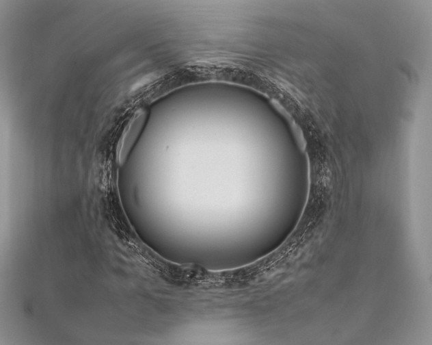 X0000112010965200908031303
