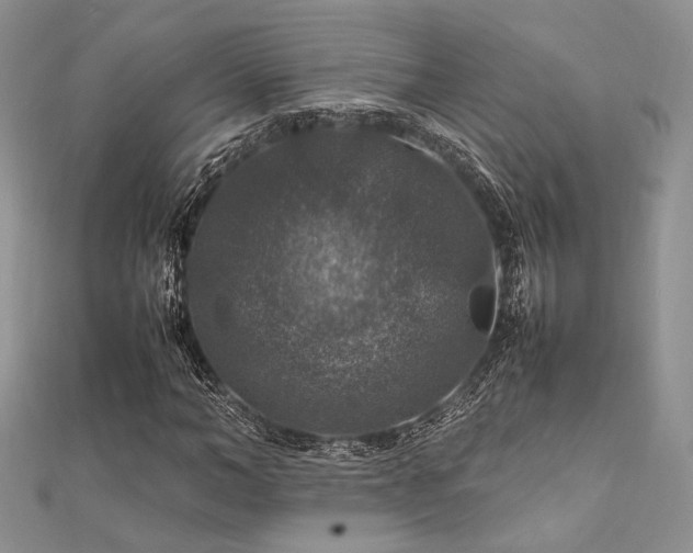 X0000112010966200908031303