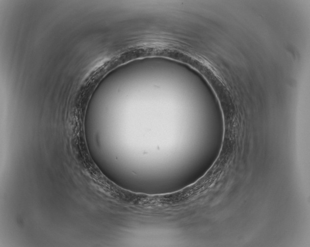 X0000112010967200908031303