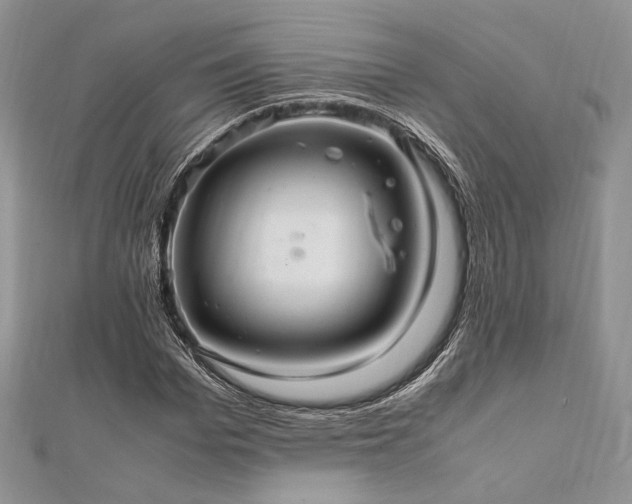 X0000112010969200908031303