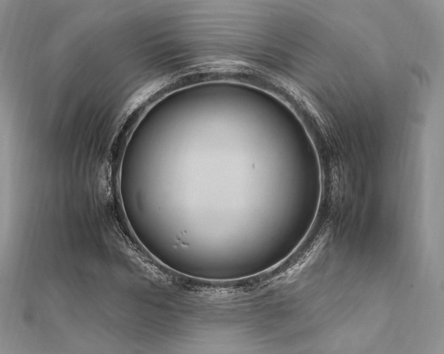 X0000112010970200908031303