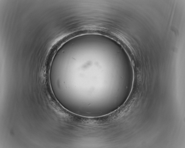 X0000112010971200908031303