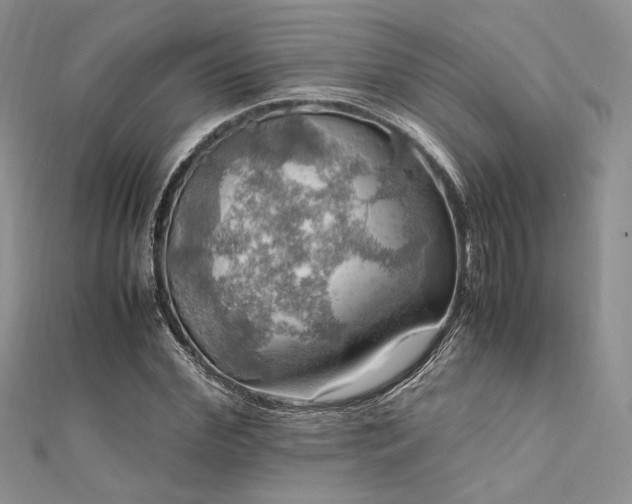 X0000112010972200908031303