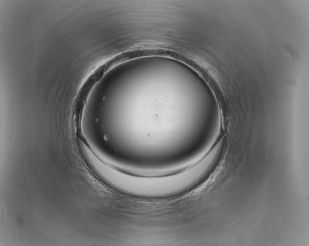 X0000112010973200908031303