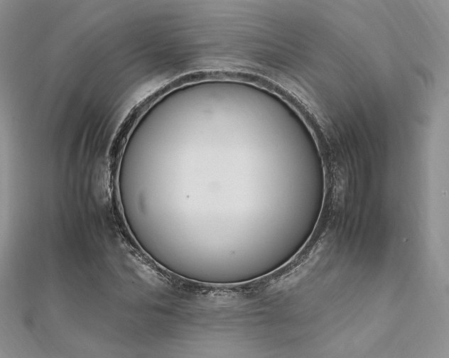 X0000112010974200908031303