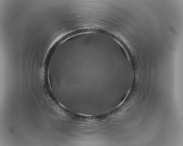 X0000112010975200908031303