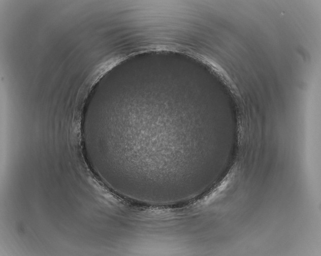 X0000112010977200908031303