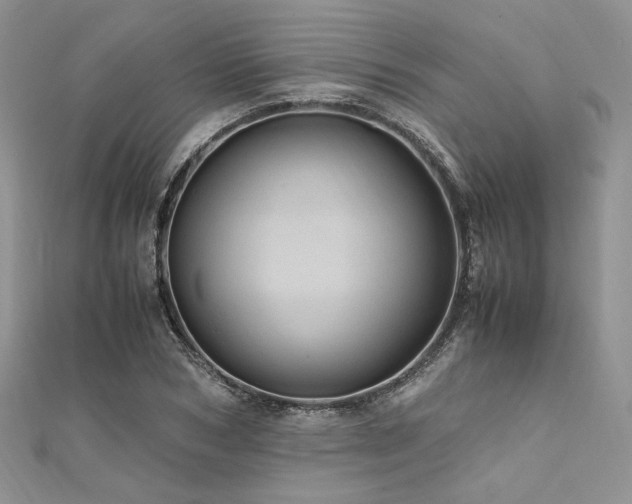 X0000112010978200908031303