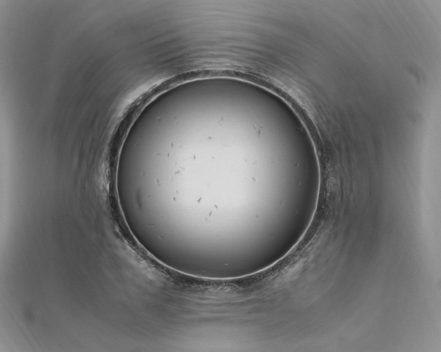 X0000112010979200908031303