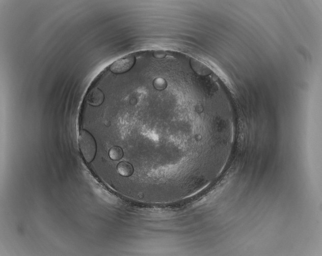 X0000112010980200908031303